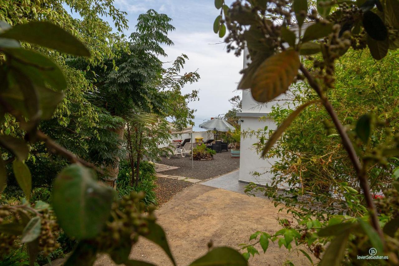 Apartamento Bodega Goyo Puntallana Exterior foto